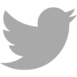 twitter icon